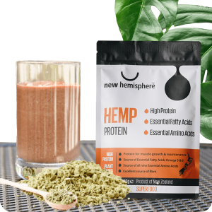 hemp protein smoothie